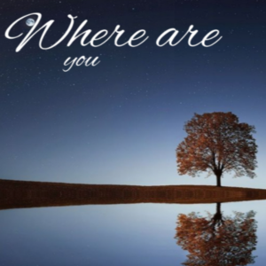 cover image of Where Are You?